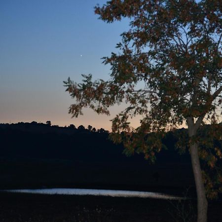 Agriturismo Podere Micitto Usi Номер фото