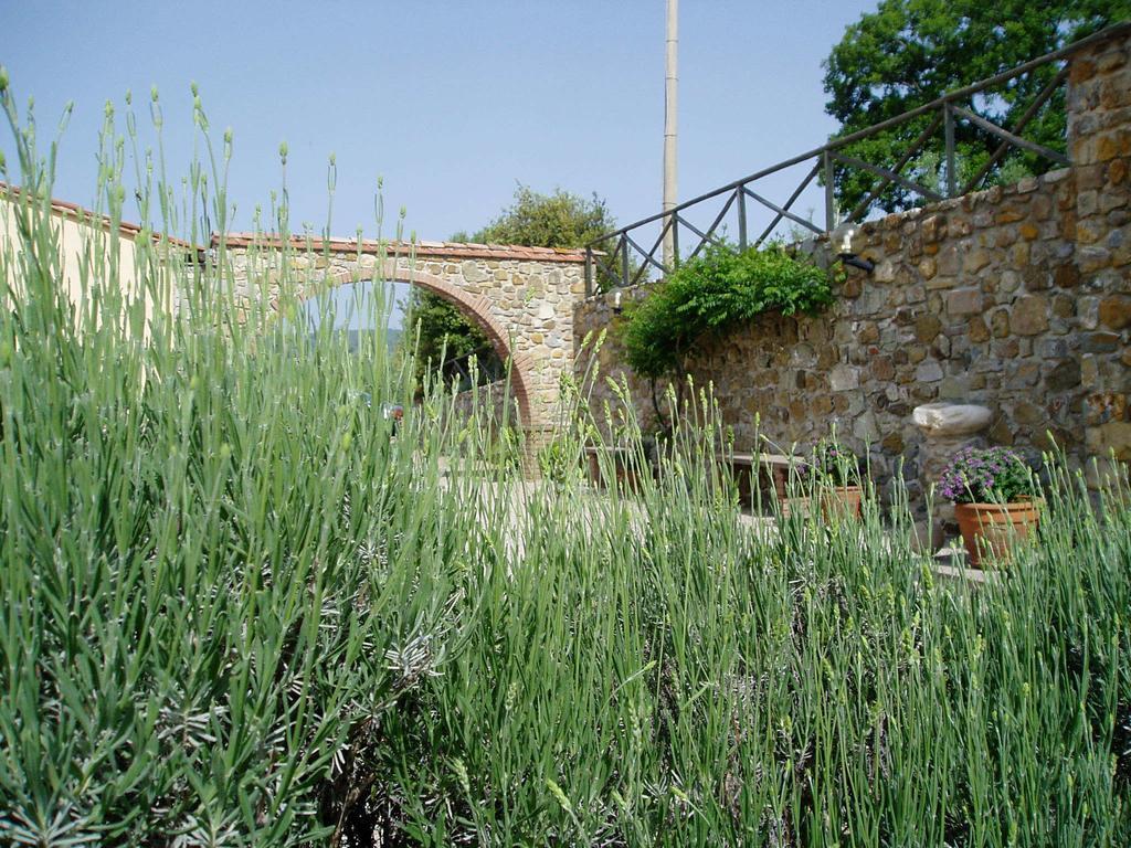 Agriturismo Podere Micitto Usi Екстер'єр фото