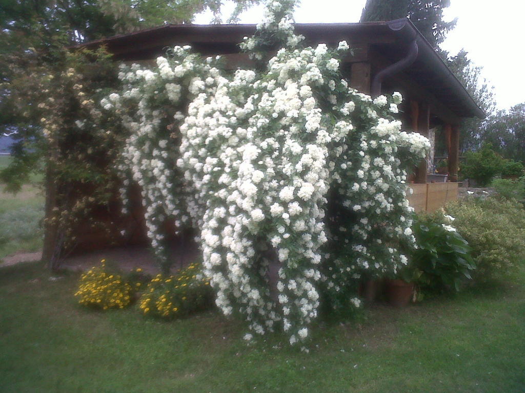 Agriturismo Podere Micitto Usi Екстер'єр фото